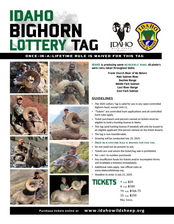Idaho Bighorn Lottery